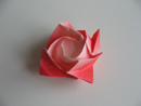 rose-1